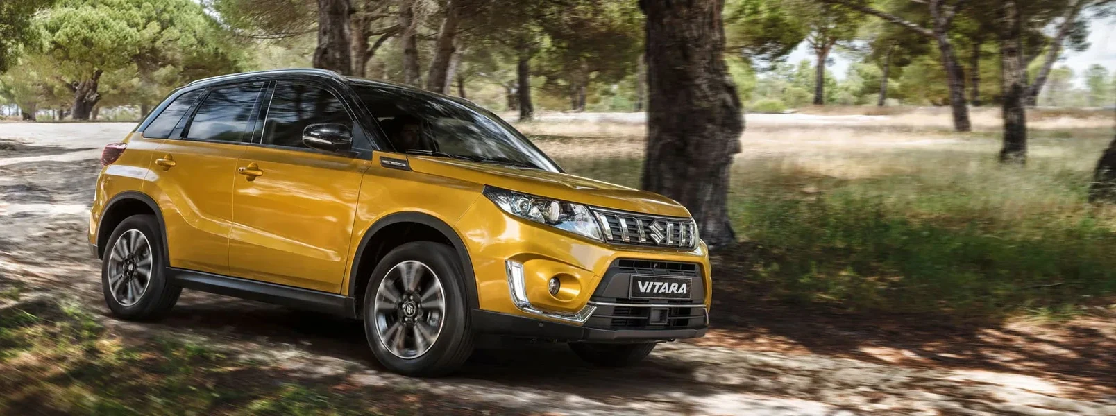 Suzuki Vitara at Barry Browne Cars